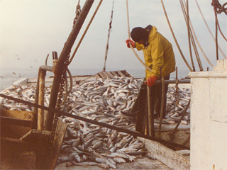 Greg, croaker fishing of Cape Hatteras